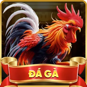 Giao diện cá cược bóng đá với tỷ lệ kèo trên g666 app ios